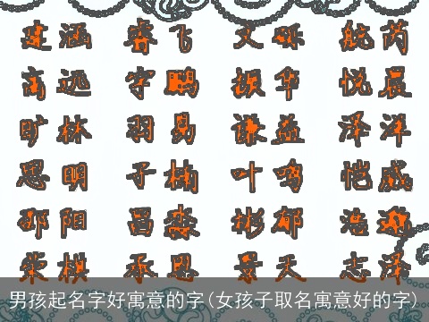 男孩起名字好寓意的字(女孩子取名寓意好的字)