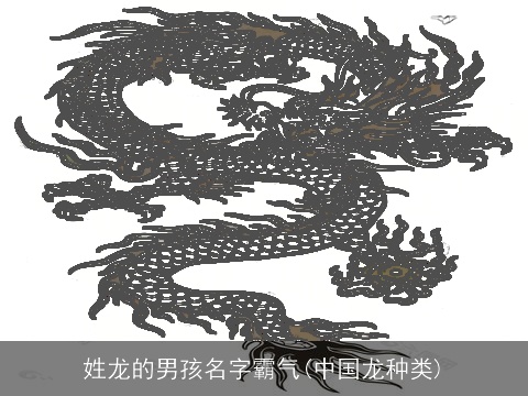 姓龙的男孩名字霸气(中国龙种类)