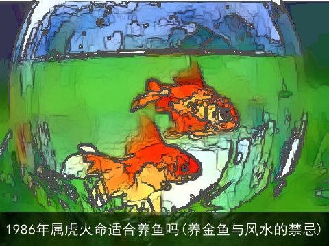 1986年属虎火命适合养鱼吗(养金鱼与风水的禁忌)