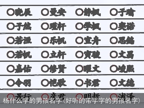 杨什么宇的男孩名字(好听的带宇字的男孩名字)