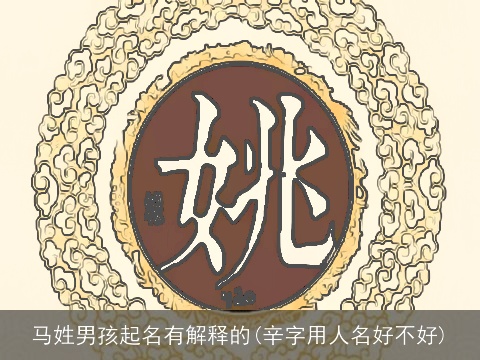 马姓男孩起名有解释的(辛字用人名好不好)