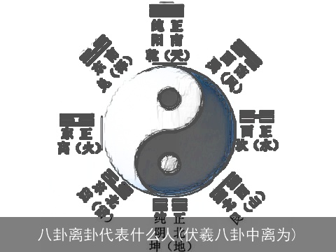 八卦离卦代表什么人(伏羲八卦中离为)