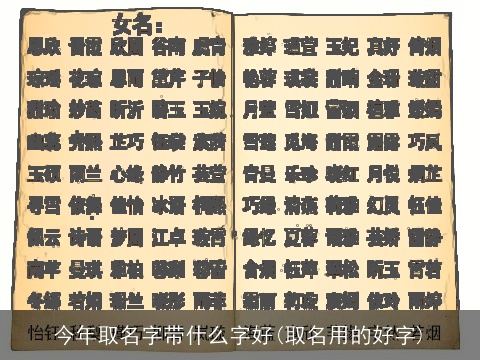 今年取名字带什么字好(取名用的好字)
