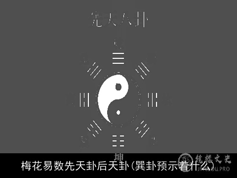 梅花易数先天卦后天卦(巽卦预示着什么)