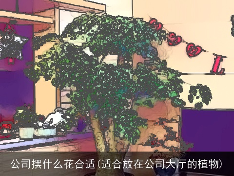 公司摆什么花合适(适合放在公司大厅的植物)