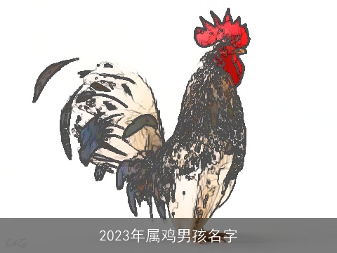 2023年属鸡男孩名字