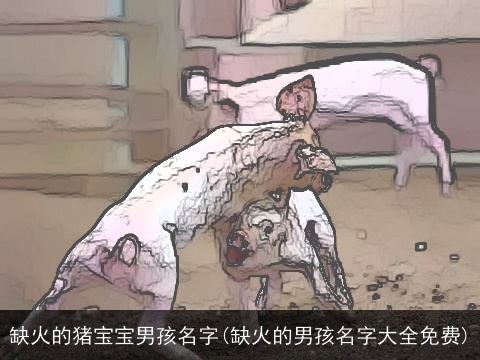 缺火的猪宝宝男孩名字(缺火的男孩名字大全免费)