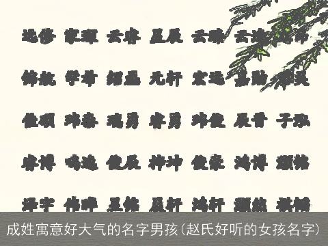 成姓寓意好大气的名字男孩(赵氏好听的女孩名字)