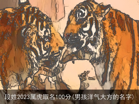 段姓2023属虎取名100分(男孩洋气大方的名字)