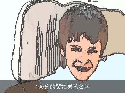 100分的裴姓男孩名字
