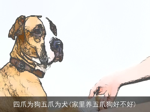 四爪为狗五爪为犬(家里养五爪狗好不好)