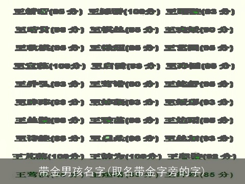 带金男孩名字(取名带金字旁的字)