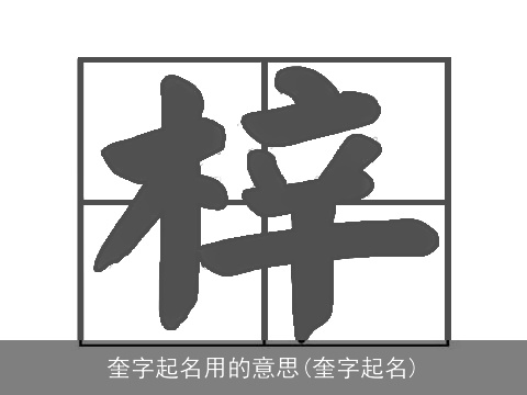 奎字起名用的意思(奎字起名)