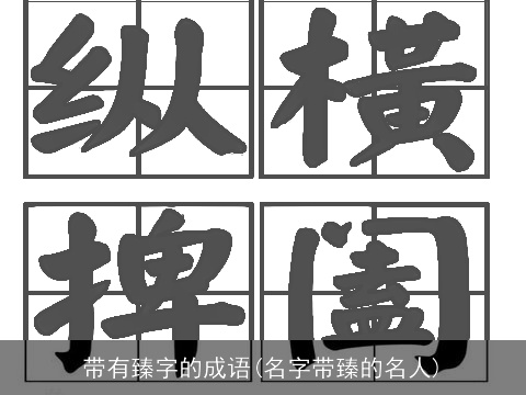 带有臻字的成语(名字带臻的名人)