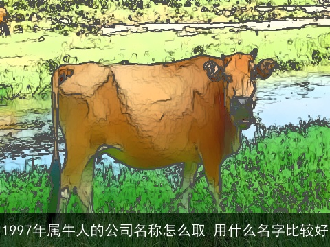 1997年属牛人的公司名称怎么取 用什么名字比较好