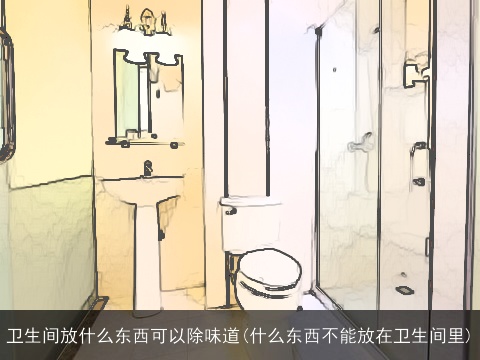 卫生间放什么东西可以除味道(什么东西不能放在卫生间里)