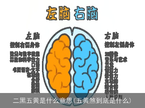 二黑五黄是什么意思(五黄煞到底是什么)
