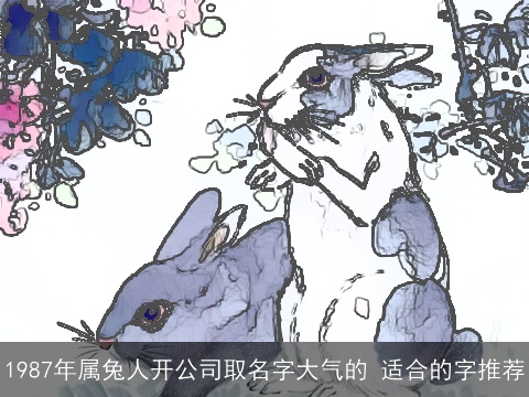 1987年属兔人开公司取名字大气的 适合的字推荐