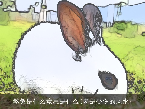 煞兔是什么意思是什么(老是受伤的风水)