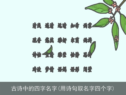 古诗中的四字名字(用诗句取名字四个字)