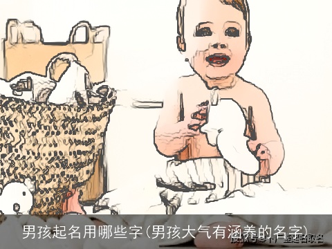 男孩起名用哪些字(男孩大气有涵养的名字)