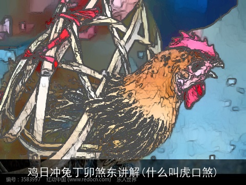 鸡日冲兔丁卯煞东讲解(什么叫虎口煞)