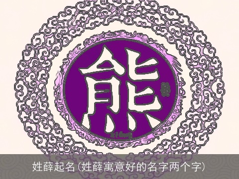 姓薛起名(姓薛寓意好的名字两个字)