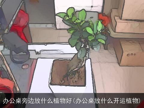 办公桌旁边放什么植物好(办公桌放什么开运植物)