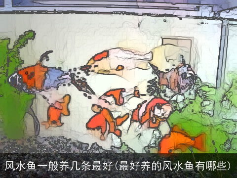 风水鱼一般养几条最好(最好养的风水鱼有哪些)