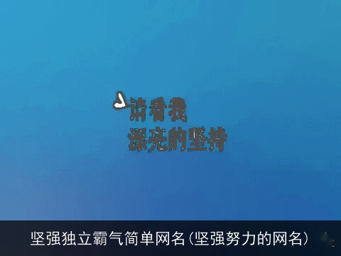坚强独立霸气简单网名(坚强努力的网名)