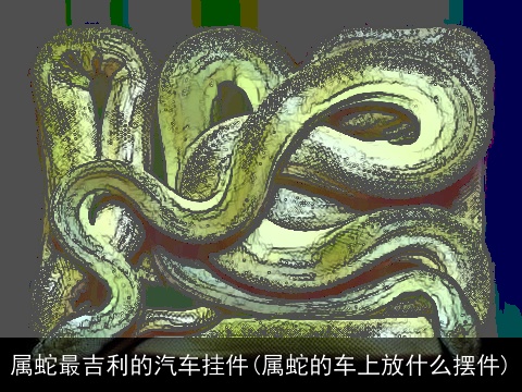 属蛇最吉利的汽车挂件(属蛇的车上放什么摆件)