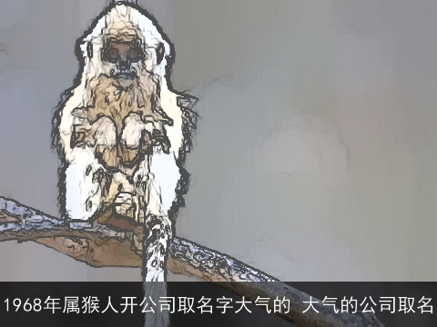 1968年属猴人开公司取名字大气的 大气的公司取名