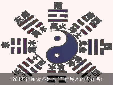 1984五行属金还是木(五行属木的吉祥名)