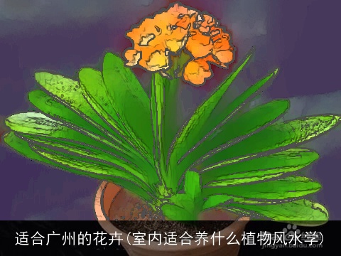 适合广州的花卉(室内适合养什么植物风水学)