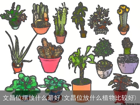 文昌位摆放什么最好(文昌位放什么植物比较好)