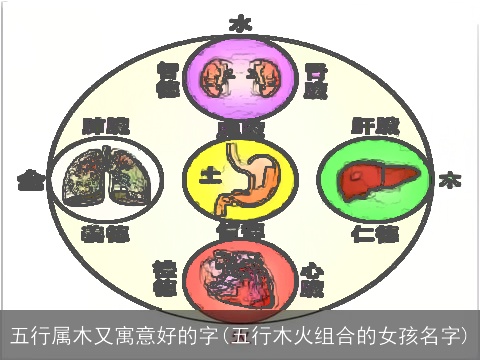 五行属木又寓意好的字(五行木火组合的女孩名字)