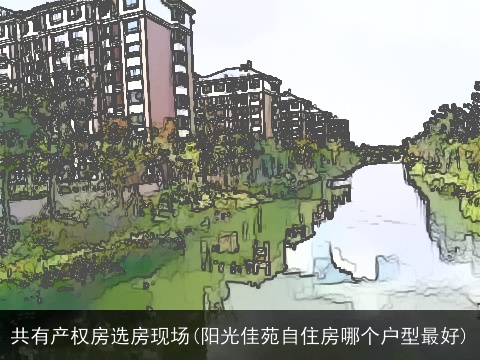 共有产权房选房现场(阳光佳苑自住房哪个户型最好)