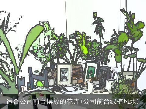 适合公司前台摆放的花卉(公司前台绿植风水)