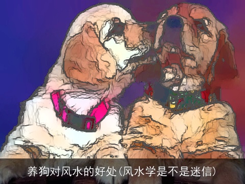 养狗对风水的好处(风水学是不是迷信)