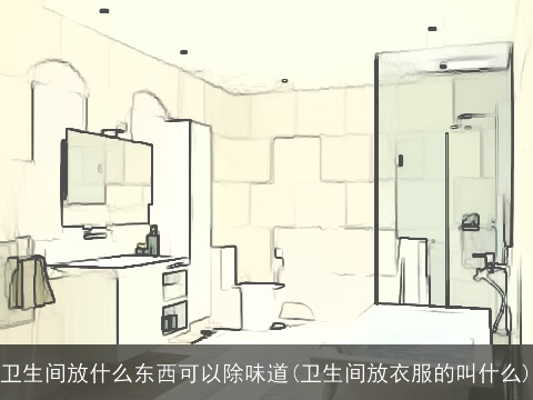 卫生间放什么东西可以除味道(卫生间放衣服的叫什么)