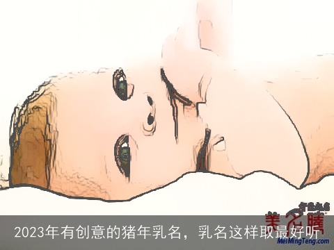 2023年有创意的猪年乳名，乳名这样取最好听