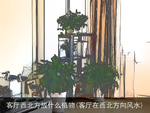 客厅西北方放什么植物(客厅在西北方向风水)
