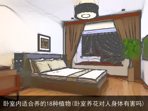 卧室内适合养的18种植物(卧室养花对人身体有害吗)