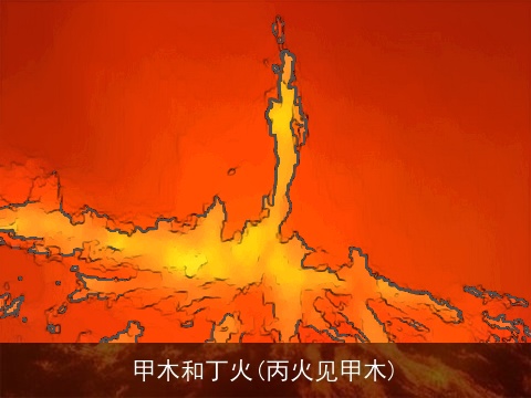 甲木和丁火(丙火见甲木)