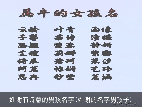 姓谢有诗意的男孩名字(姓谢的名字男孩子)