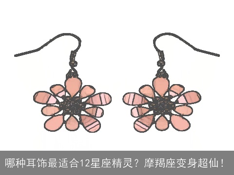 哪种耳饰最适合12星座精灵？摩羯座变身超仙！