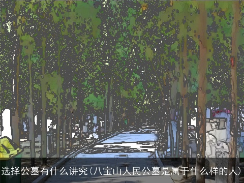 选择公墓有什么讲究(八宝山人民公墓是属于什么样的人)