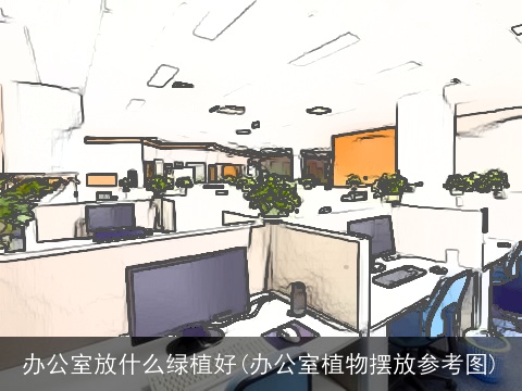 办公室放什么绿植好(办公室植物摆放参考图)