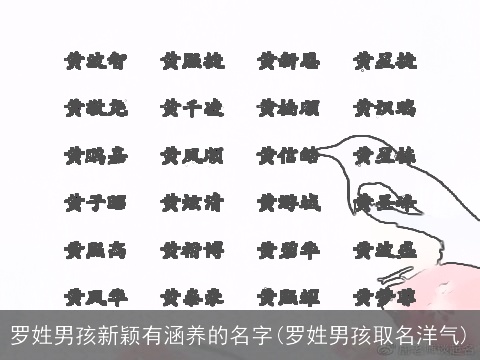 罗姓男孩新颖有涵养的名字(罗姓男孩取名洋气)
