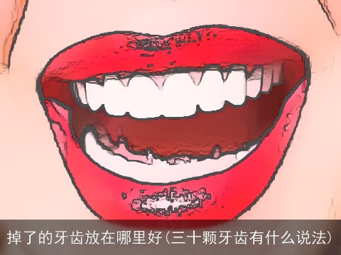 掉了的牙齿放在哪里好(三十颗牙齿有什么说法)